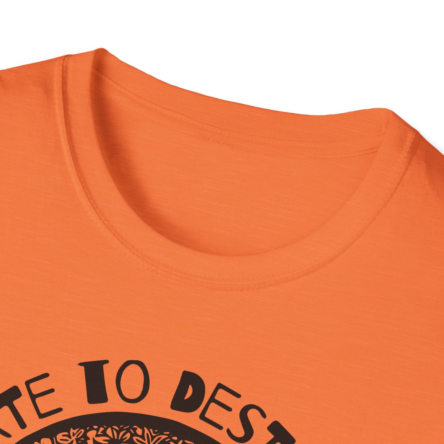 Destroy to Create : Unisex Softstyle T-Shirt