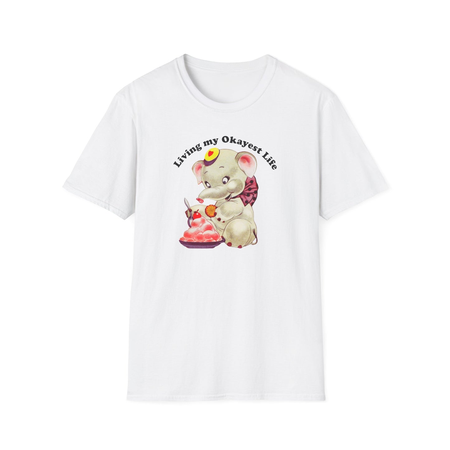 Living My Okayest Life : Unisex Softstyle T-Shirt