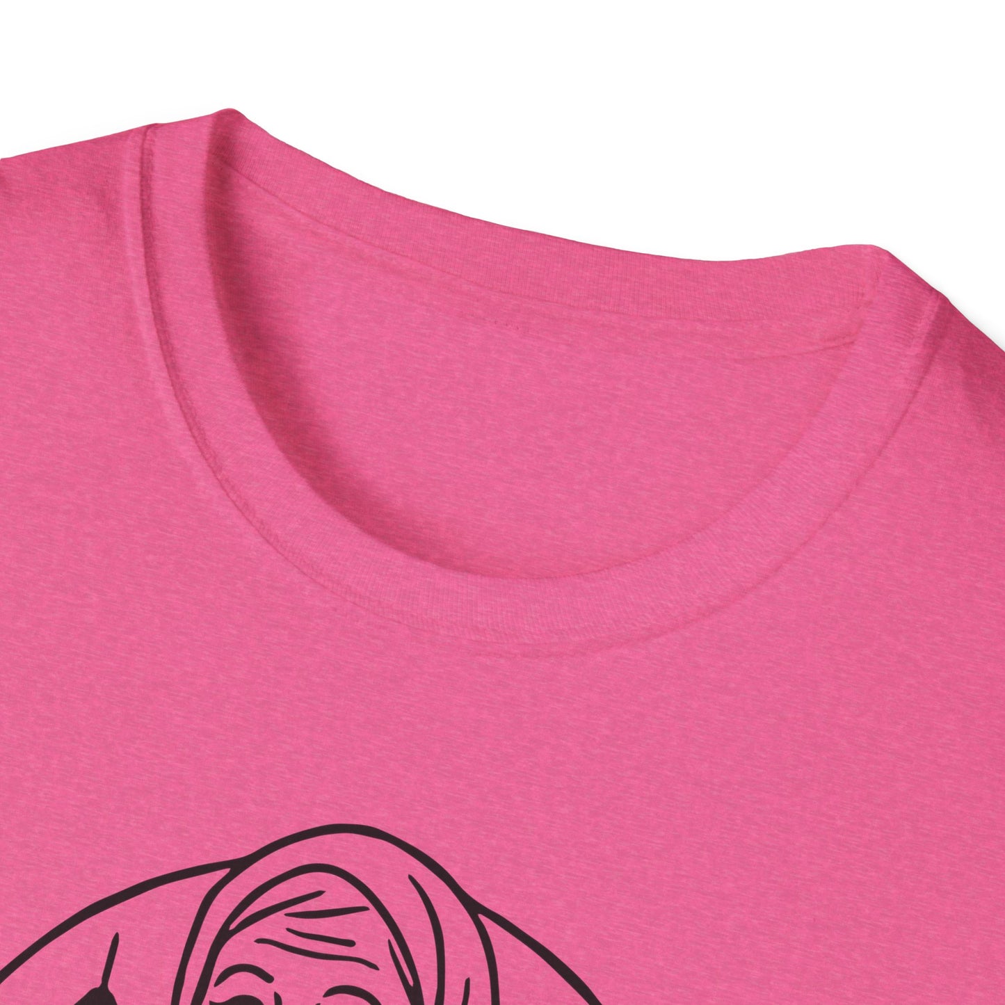 Pittsburgh Pierogi Lady : Unisex Softstyle T-shirt