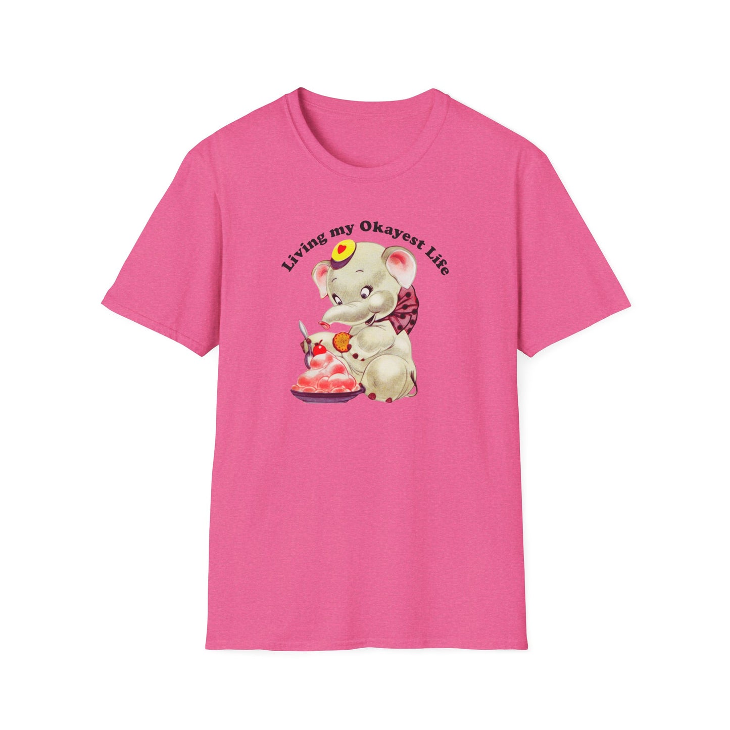 Living My Okayest Life : Unisex Softstyle T-Shirt