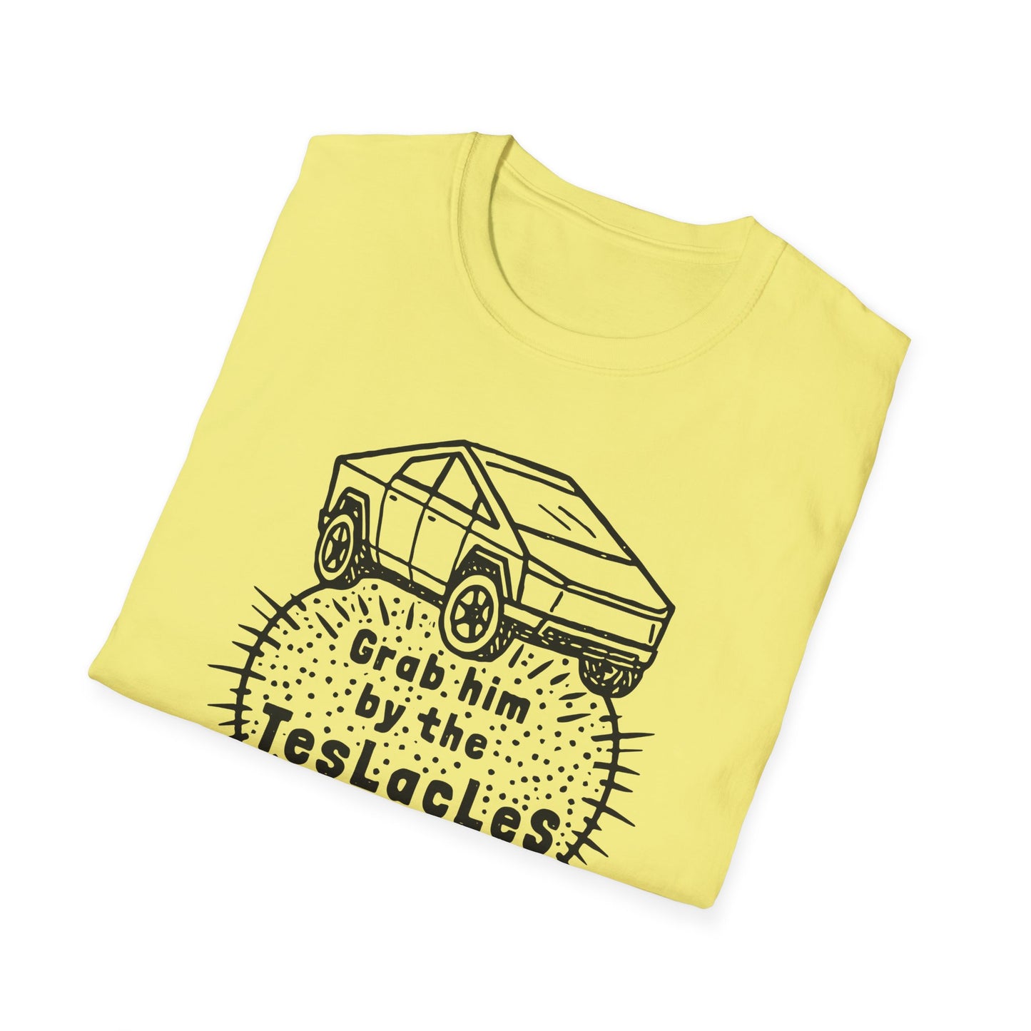 Grab him by the TESLAcles / Misogyny and Oligarchy : Unisex Softstyle T-shirt