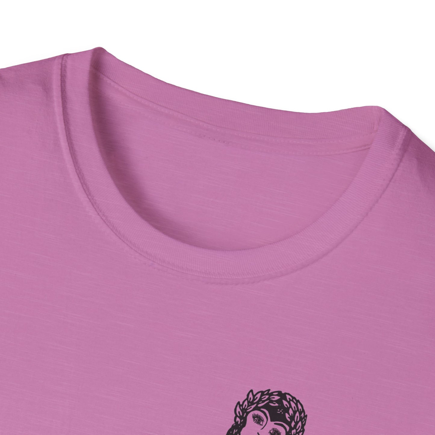 I am not an Incubator : Unisex Softstyle T-shirt