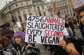 Animal Rights Merch for the Ethically Inclined