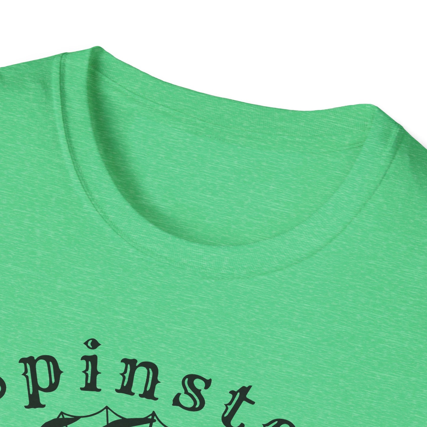 Spinster Pride : Unisex Softstyle T-shirt
