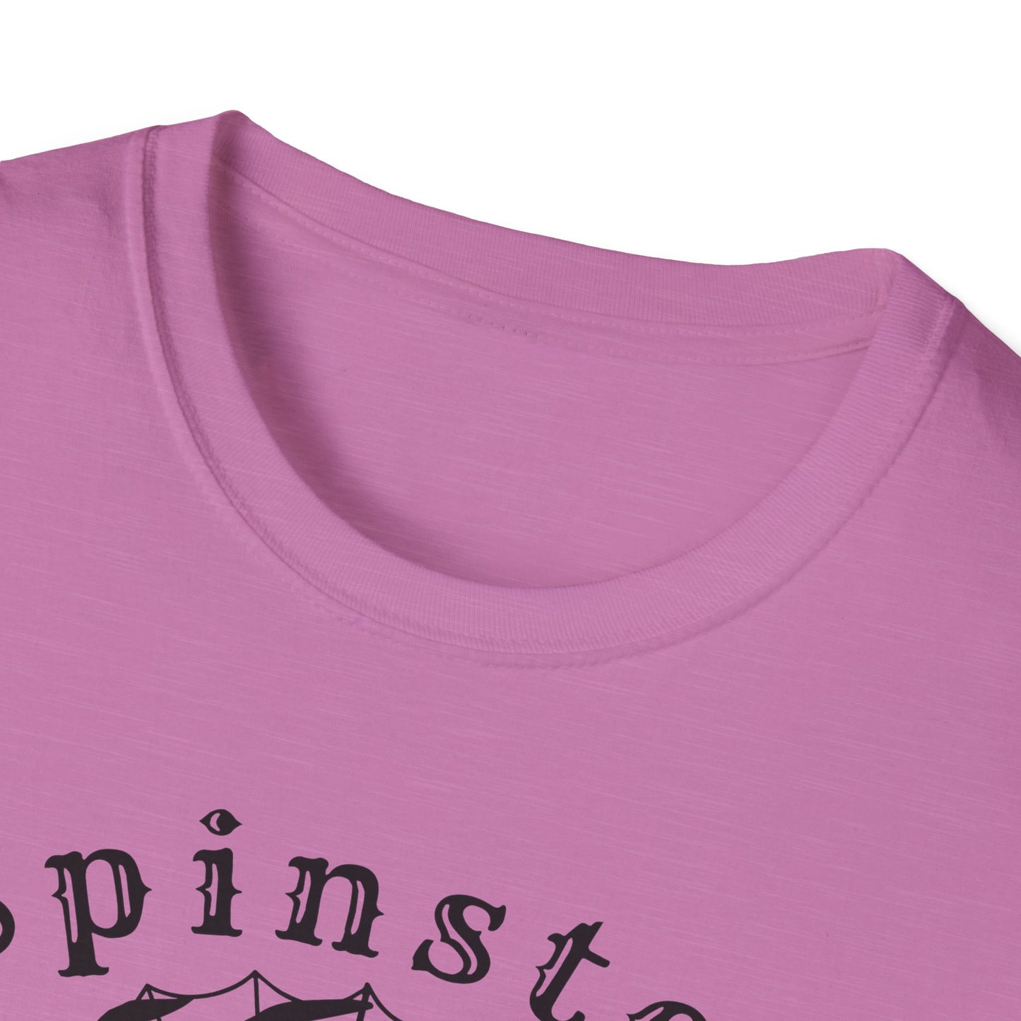Spinster Pride : Unisex Softstyle T-shirt