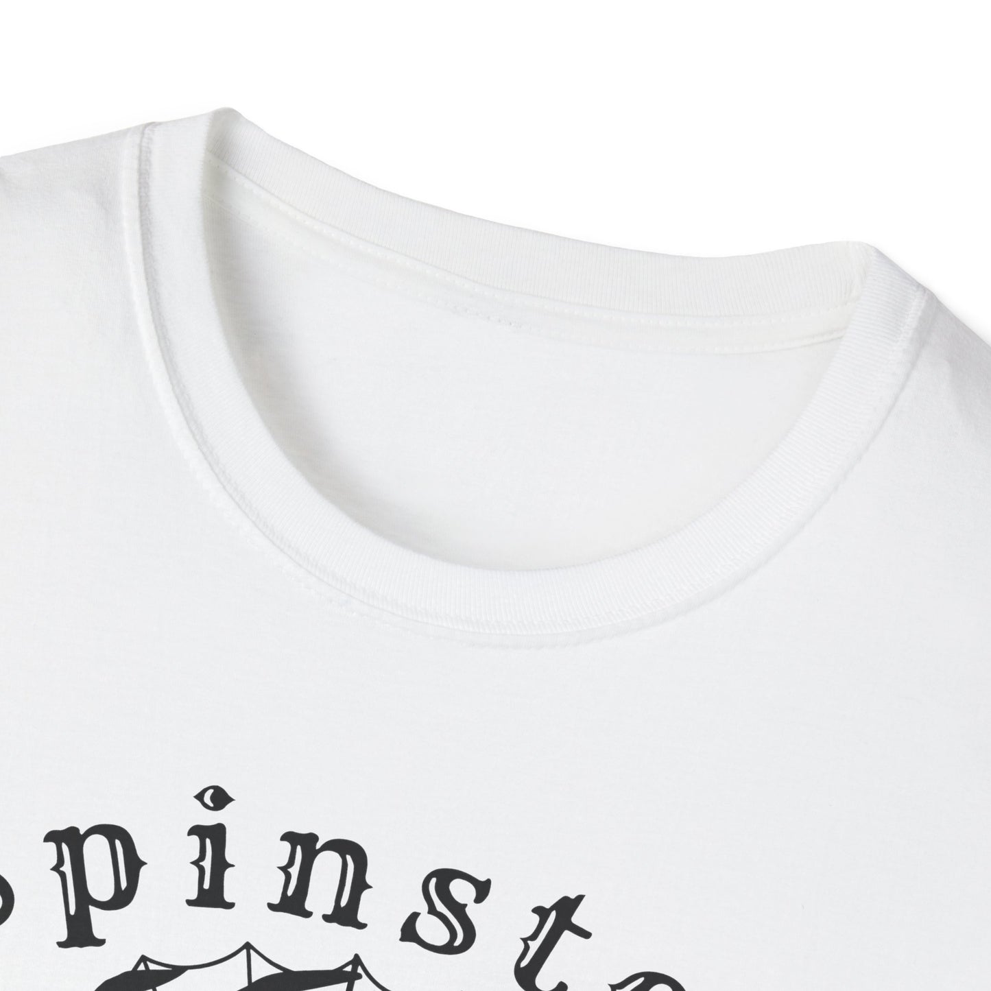 Spinster Pride : Unisex Softstyle T-shirt