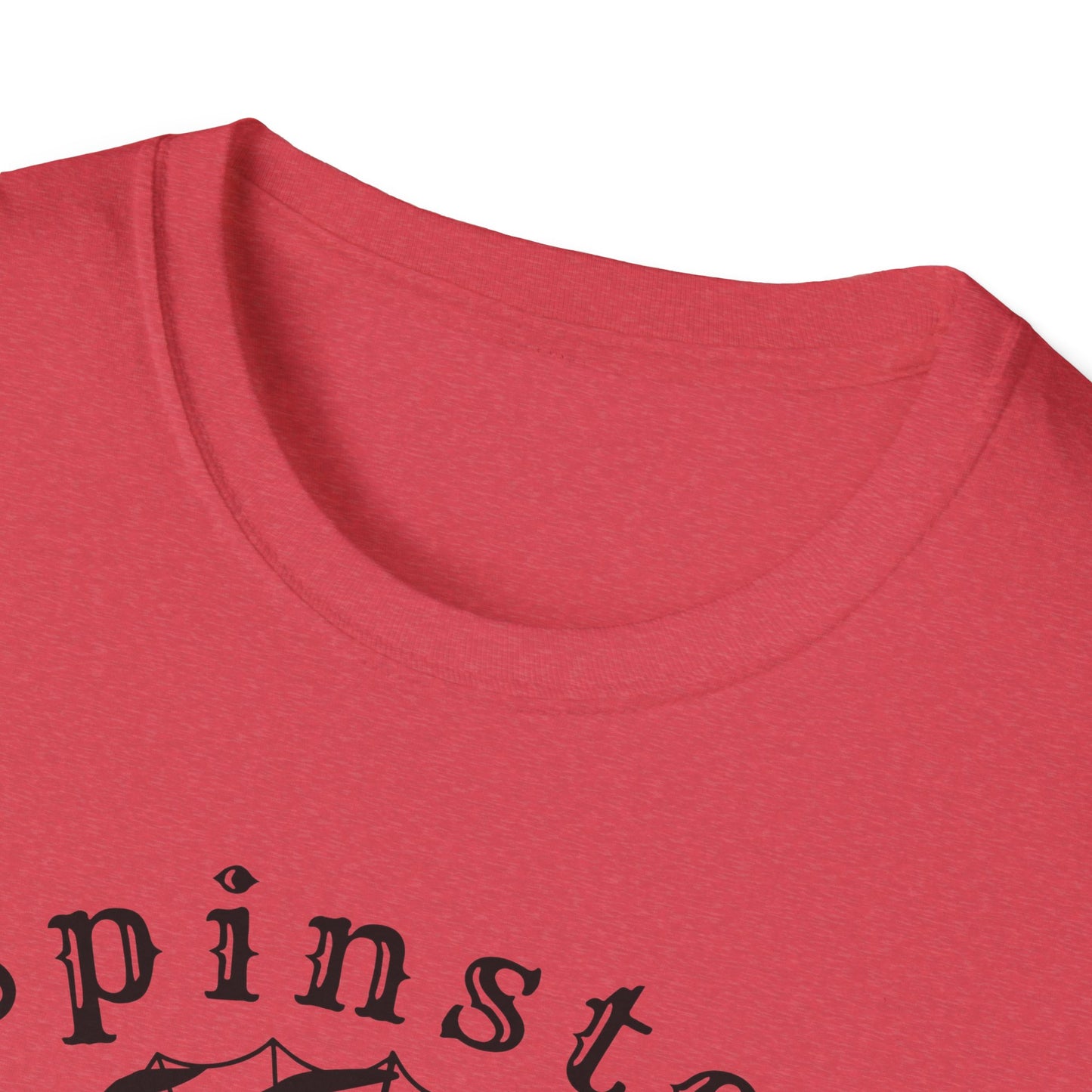 Spinster Pride : Unisex Softstyle T-shirt