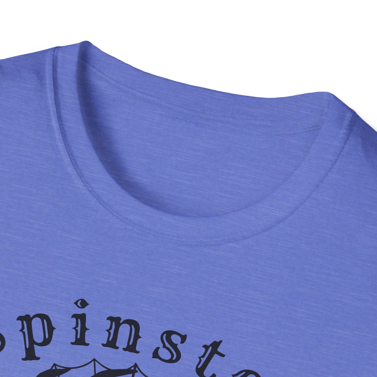 Spinster Pride : Unisex Softstyle T-shirt